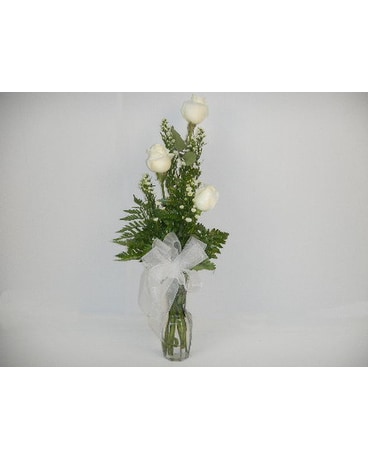 3 white roses