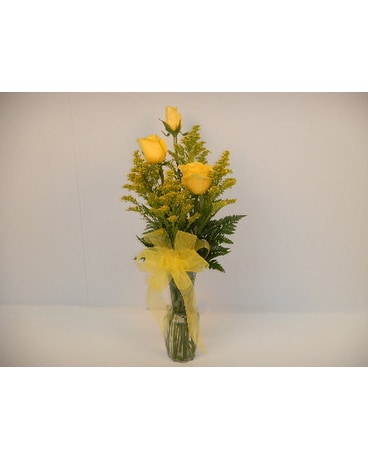 Yellow Rose Trio