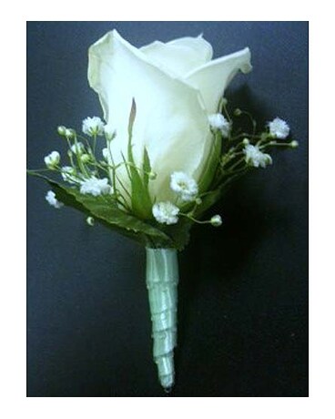 White and Light Blue