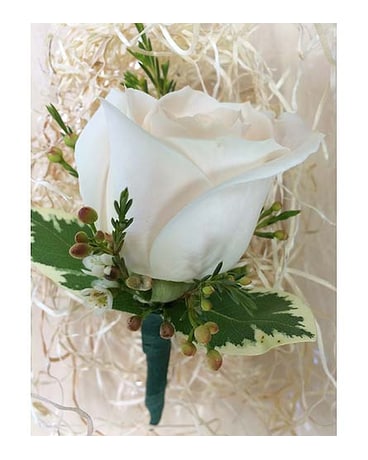 Cream rose Boutonniere