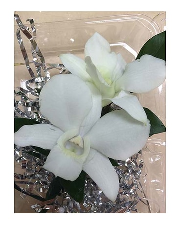 White Orchid Boutonniere