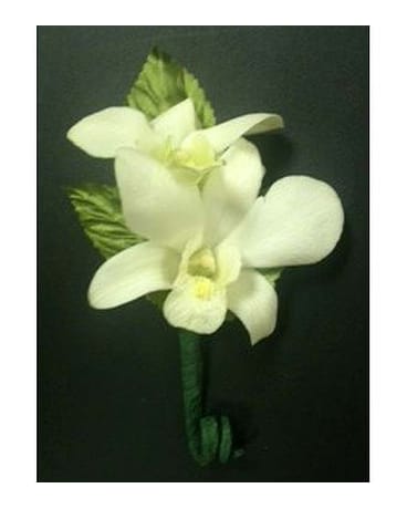 White Orchid