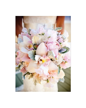 Soft Orchids
