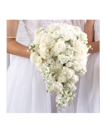 White Carnations