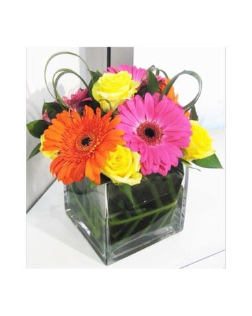 Gerber Cube Flower Arrangement
