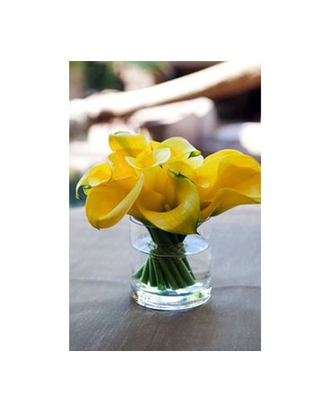 Yellow Callas