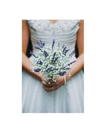 Lavender Fields