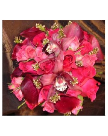 Hot Pinks