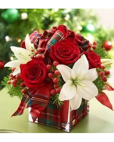 Cheerful Present