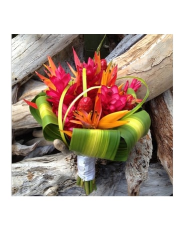 Tropical Love