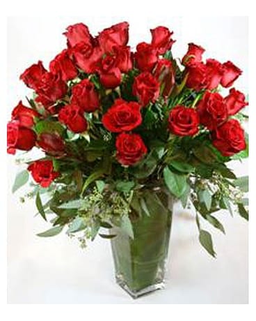Red Rose Elegance