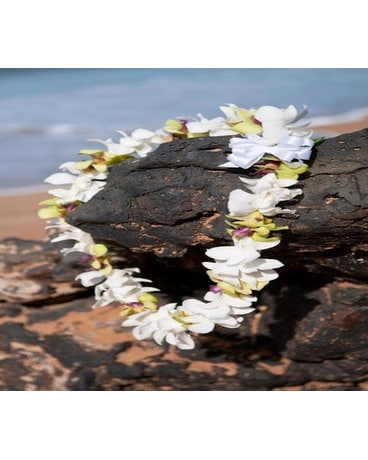 Single Orchid Lei in white and green