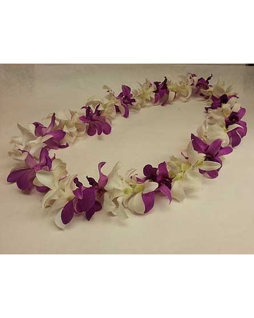 Single Orchid Lei