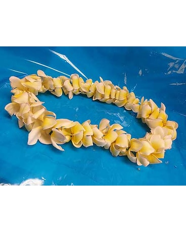 Single Yellow Plumeria