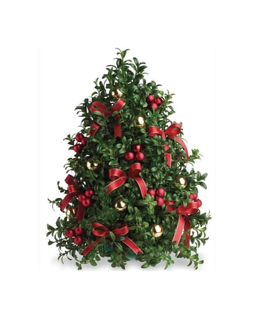 Boxwood Tree Flower Arrangement