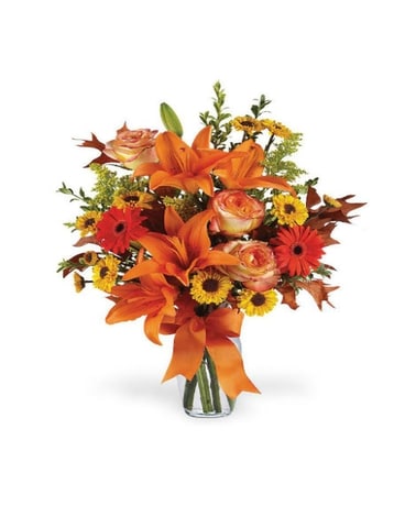 Burst of Autumn