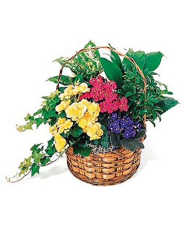 European Garden Basket