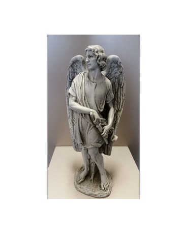 Male Angel