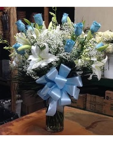 Dana's Esquitely Blue-tiful