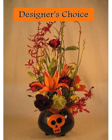 Spooky Special Designer''s Choice
