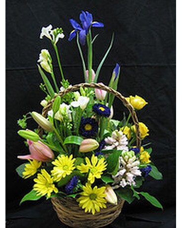 Spring basket