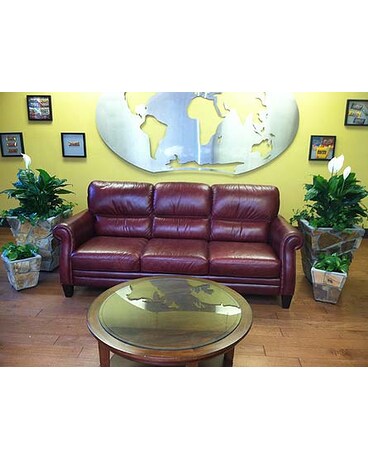 Pictured is an office setting with beautiful plant