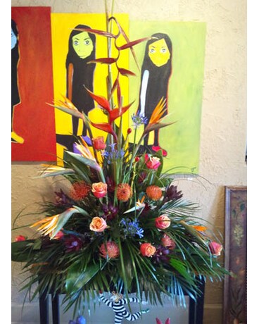 Beautiful-Tropicals