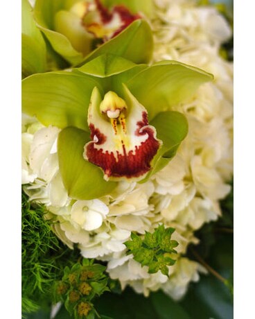 Bouquet