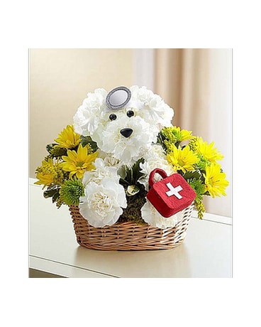 Doggie Howser M.D.™