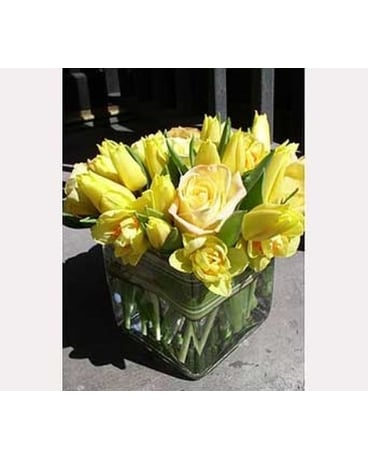 Rosy Tulip Arrangement