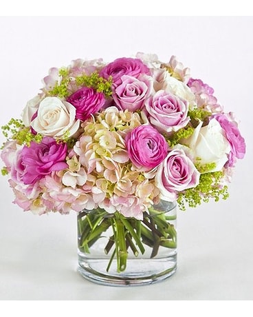 Pink Delight