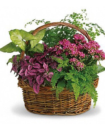 Secret Garden Basket