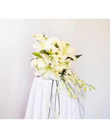 Bejeweled Stephanotis