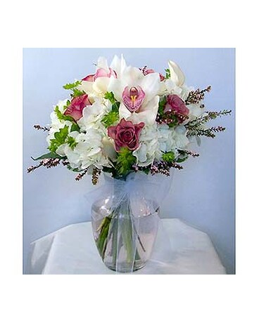 Sweet Hydrangeas