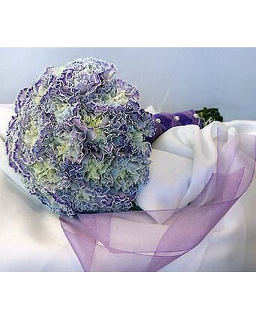 Purple Fantasy