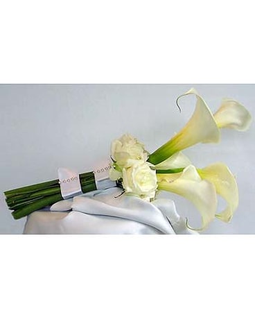 Calla Lily Love