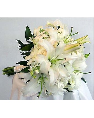 Lily Spectacular