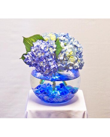 Illuminating Flowers