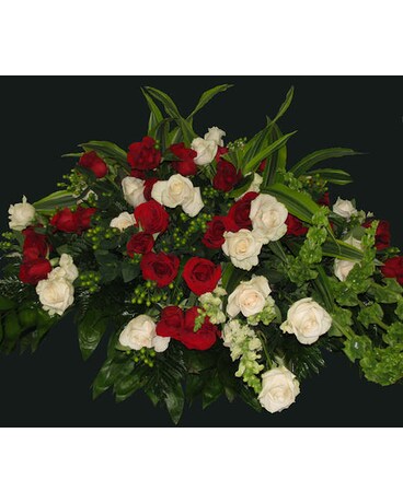 CS0033