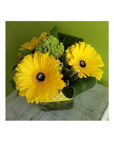 Yellow Gerbera Cube