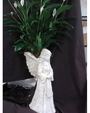 Concrete Angel