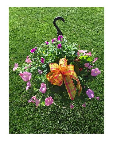 Hanging Basket
