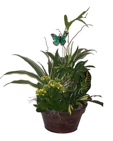 Indoor Garden Planter