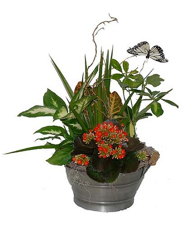 Butterfly Garden Planter