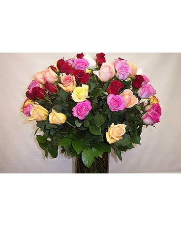 3dz Multi-Colored Long Stem Roses