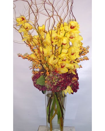 Cymbidium Orchids with Willow