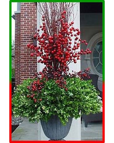 Custom Arrangement