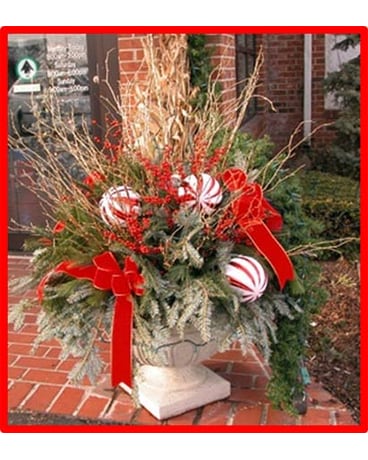Custom Arrangement