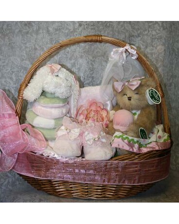 baby girl welcome basket