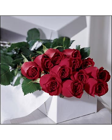 1 dz Red Roses Boxed